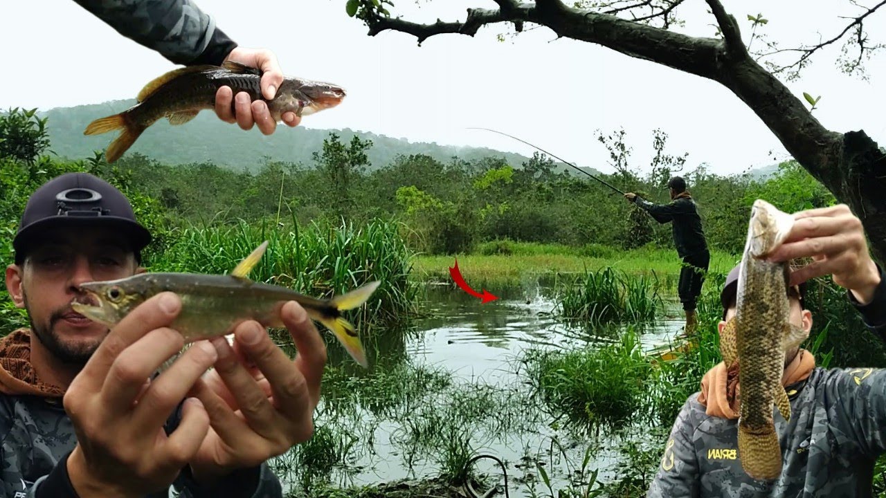 Novo Ponto de Pescaria em Mongaguá - Pesquei só Peixe bom na Pesca de Traíra - Bagre - Tajaba