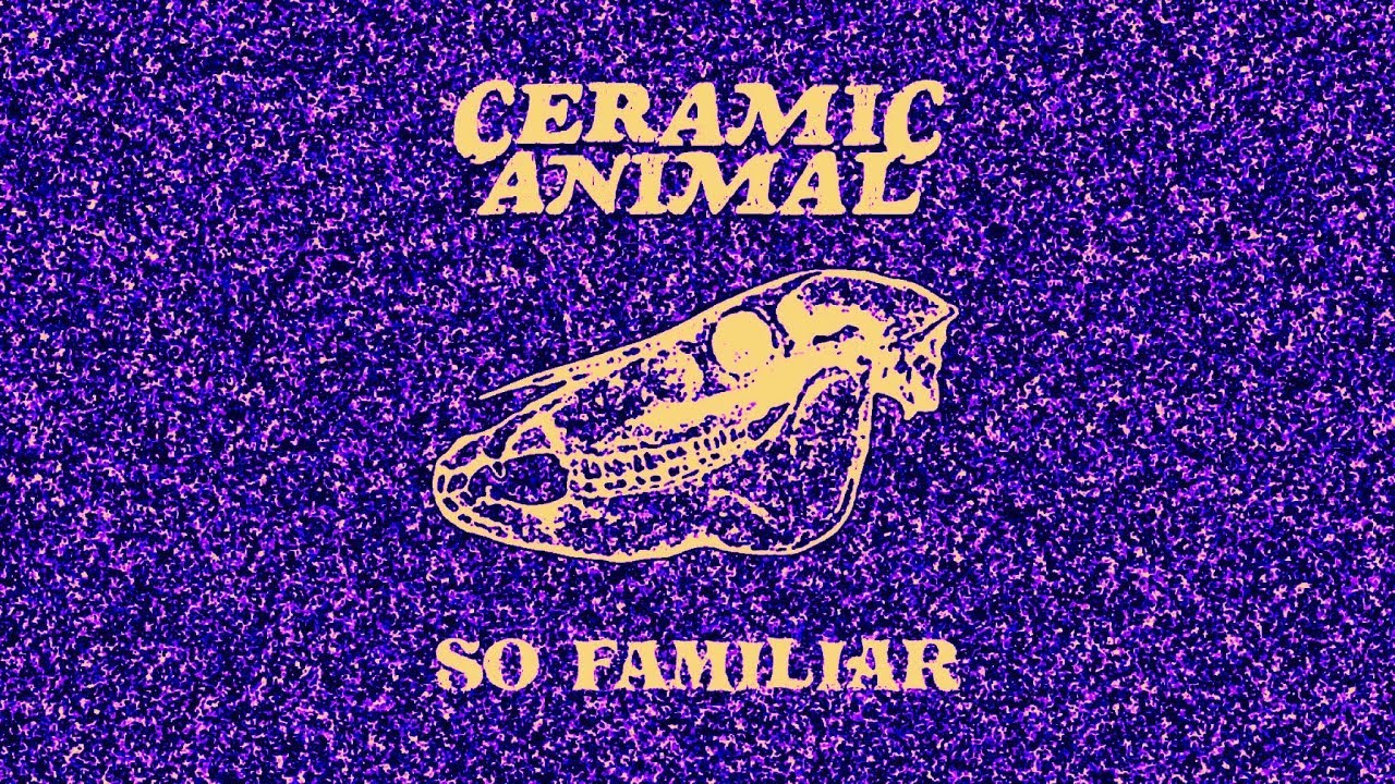 Ceramic Animal – So Familiar (Music Video)