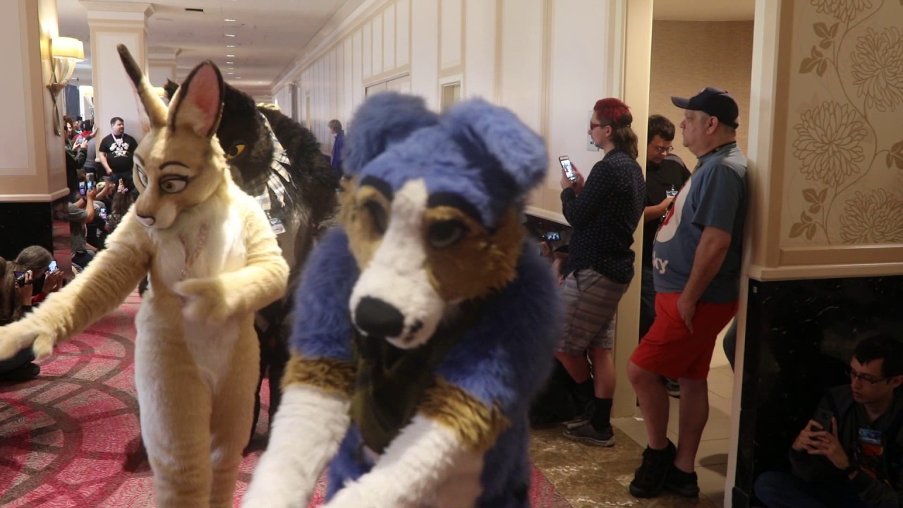 Texas Furry Fiesta 2017 FULL Fursuit Parade