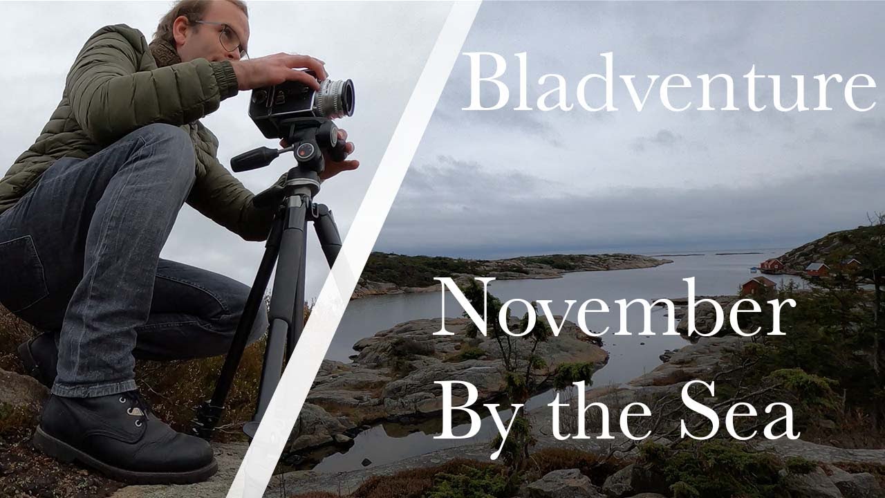 Late Autumn Landscape Photography - Bladventure - Hasselblad 500C and Bergger Panaro 400 - Norway