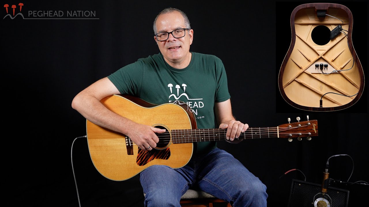 L.R. Baggs HiFi Duet Demo from Peghead Nation