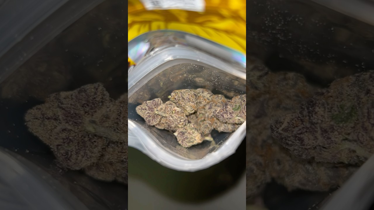 Teds Budz Lemonberry Cherries 🍋🫐| Visual Review