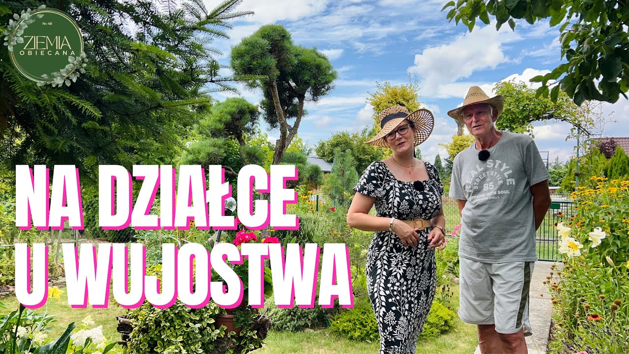 Na działce u mojego wujostwa - 40 lat doświadczenia