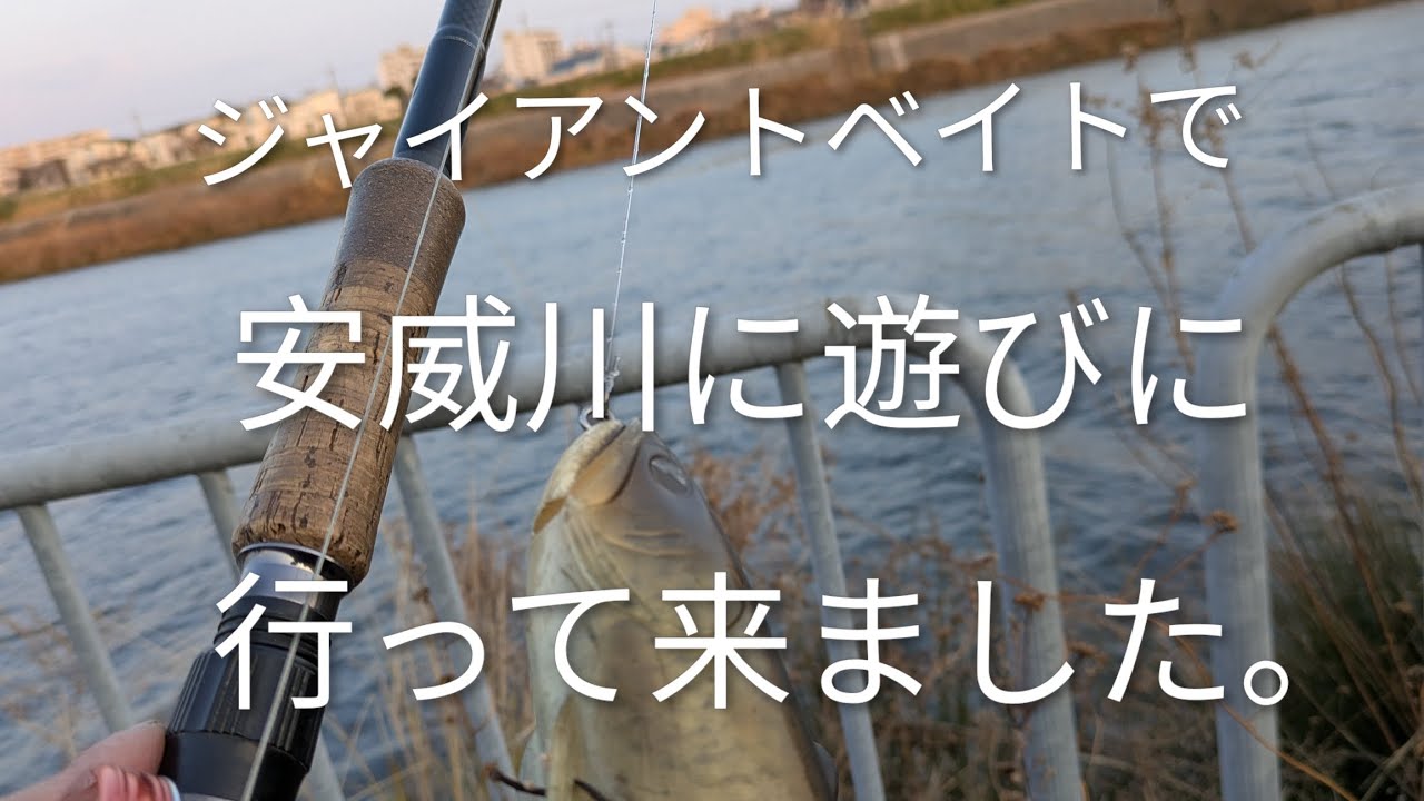 1月ジャイアントベイトて安威川で遊んで来ました。