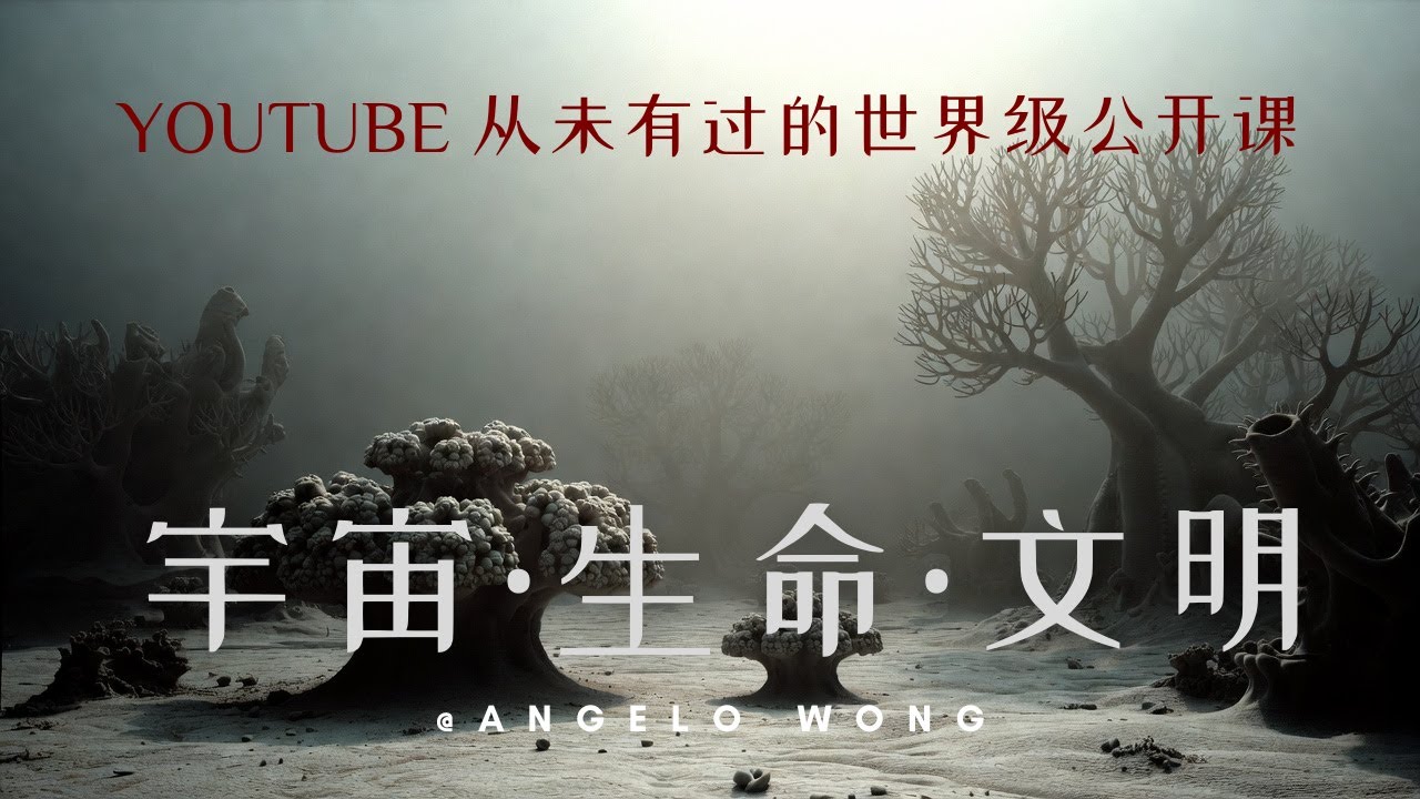 14、分形，多细胞生命体大爆发的数学基础 #分形 #分形理论 #数学 #生物数学 #生物物理 #生物化学 #历史 #科学 #生命 #生命史 #宇宙 #混沌理论 #埃迪卡拉 #多细胞 #文德 #文德生物