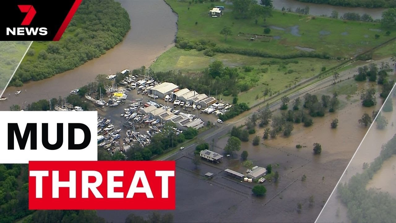 Researchers warn Moreton Bay is under threat | 7 News Australia
