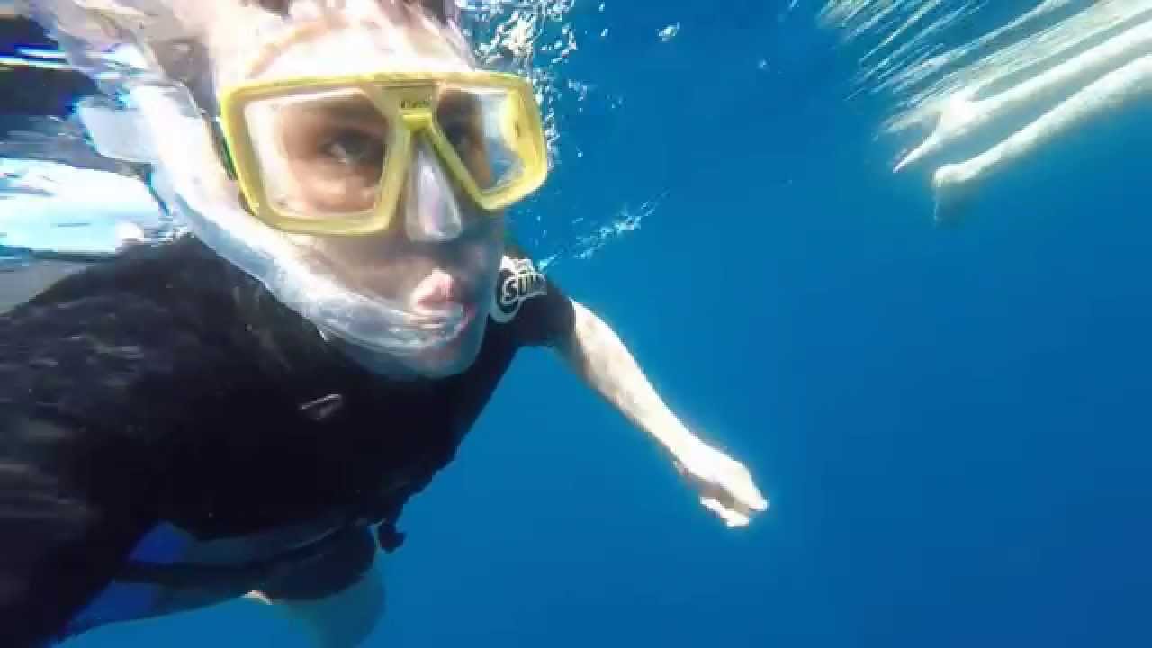Epic Azores Whale Watching and Dolphin Swimming