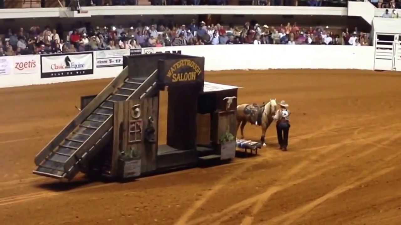 Bobby Kerr of Hico Tx 2nd place at Mustang Million Fort Worth Tx