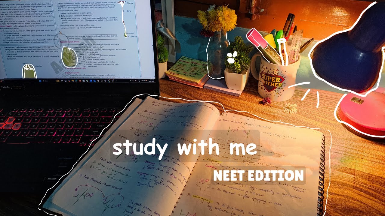 Study With Me 🌌 Morning Shift | Deep Focus, with Music S-1