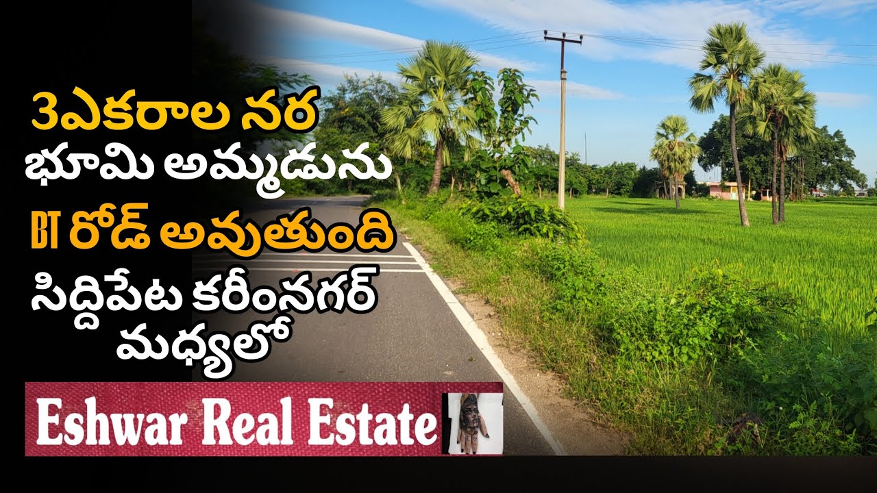 Agricultural land for sale karimnagar Siddipet middile village road avilable 
