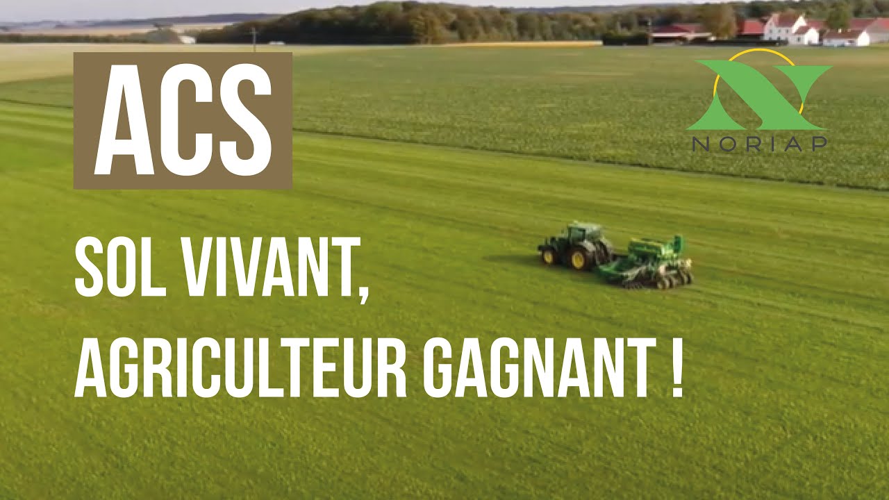 NORIAP - Reportage - Agriculture de conservation : Sol vivant, agriculteur gagnant