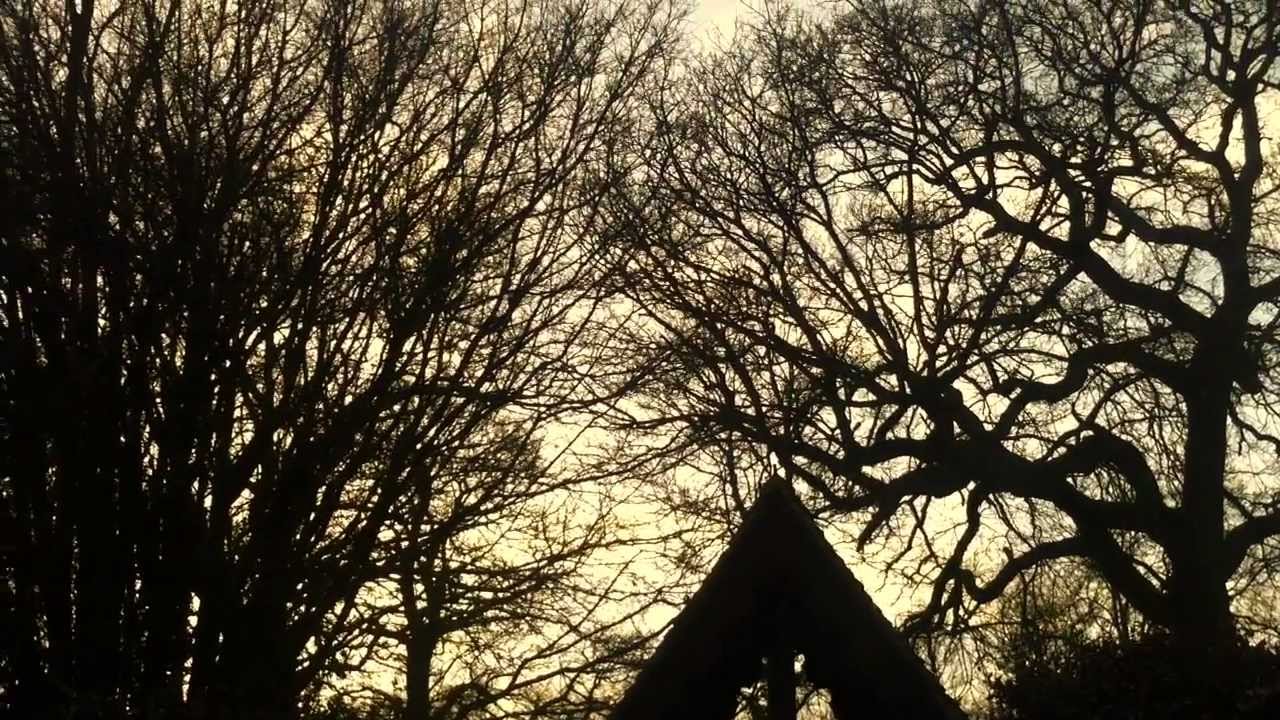 Half Moon Run - Fire Escape