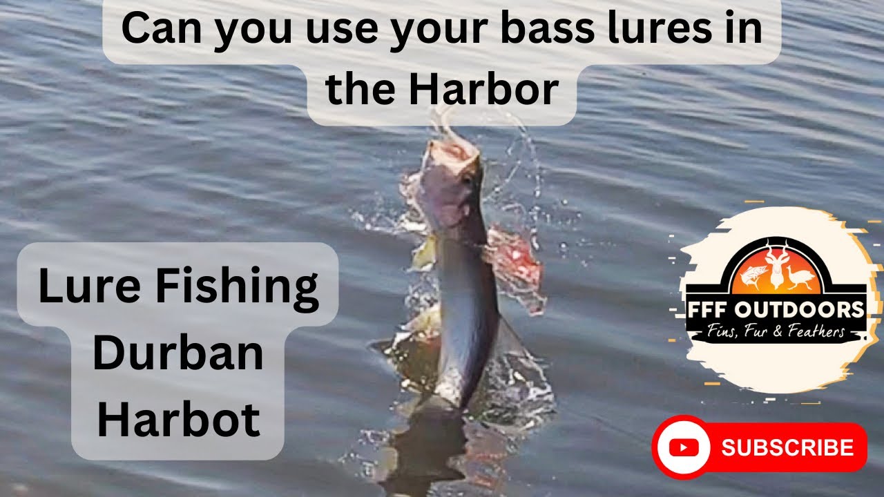 Рыбалка в гавани Дурбана на окуня #fffoutdoors #durbanfishing