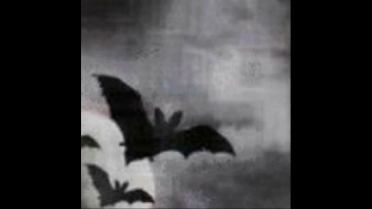 [free] (5+) post-punk, darkwave loop kit/sample pack 2023 - 