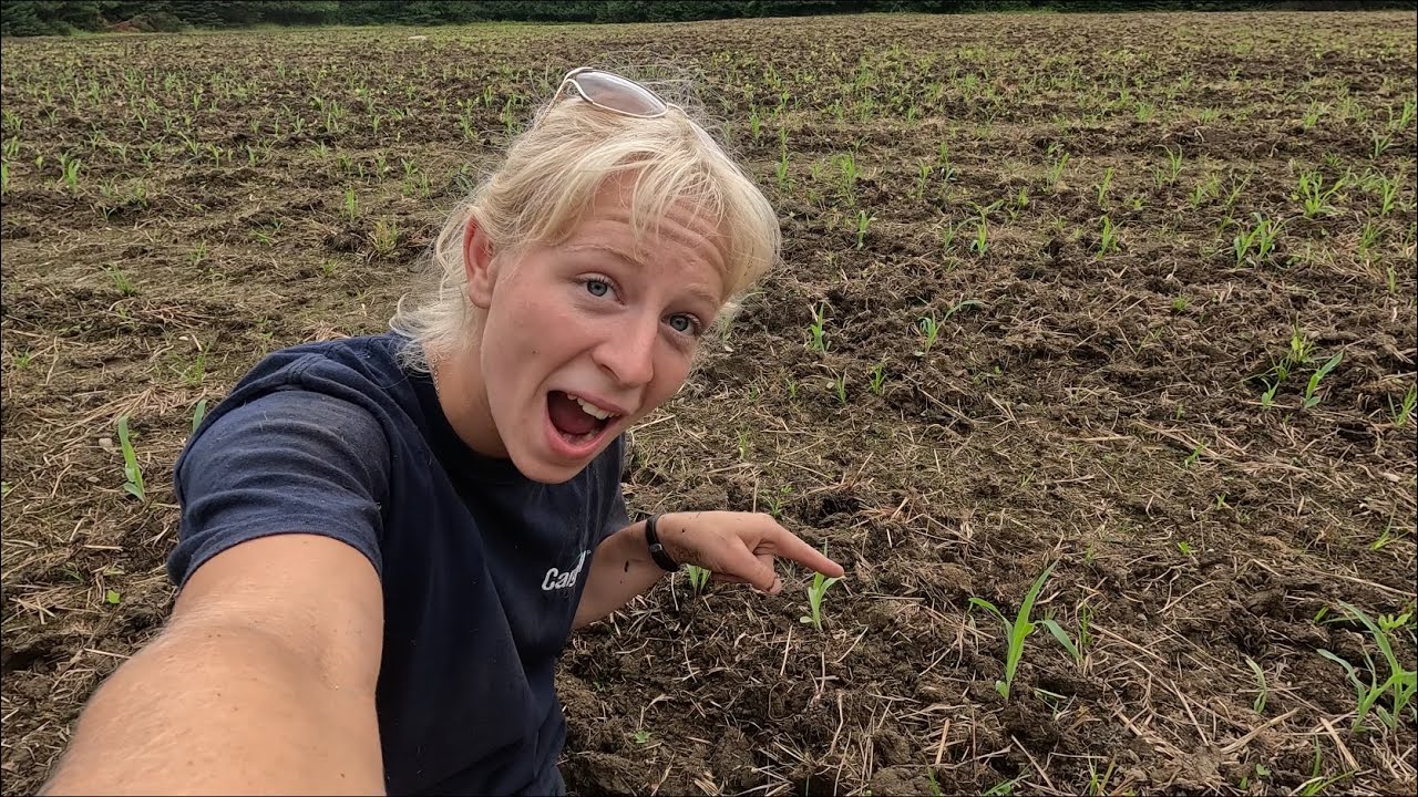 Corn update!! A “relaxing” day on the farm…🌽🚜