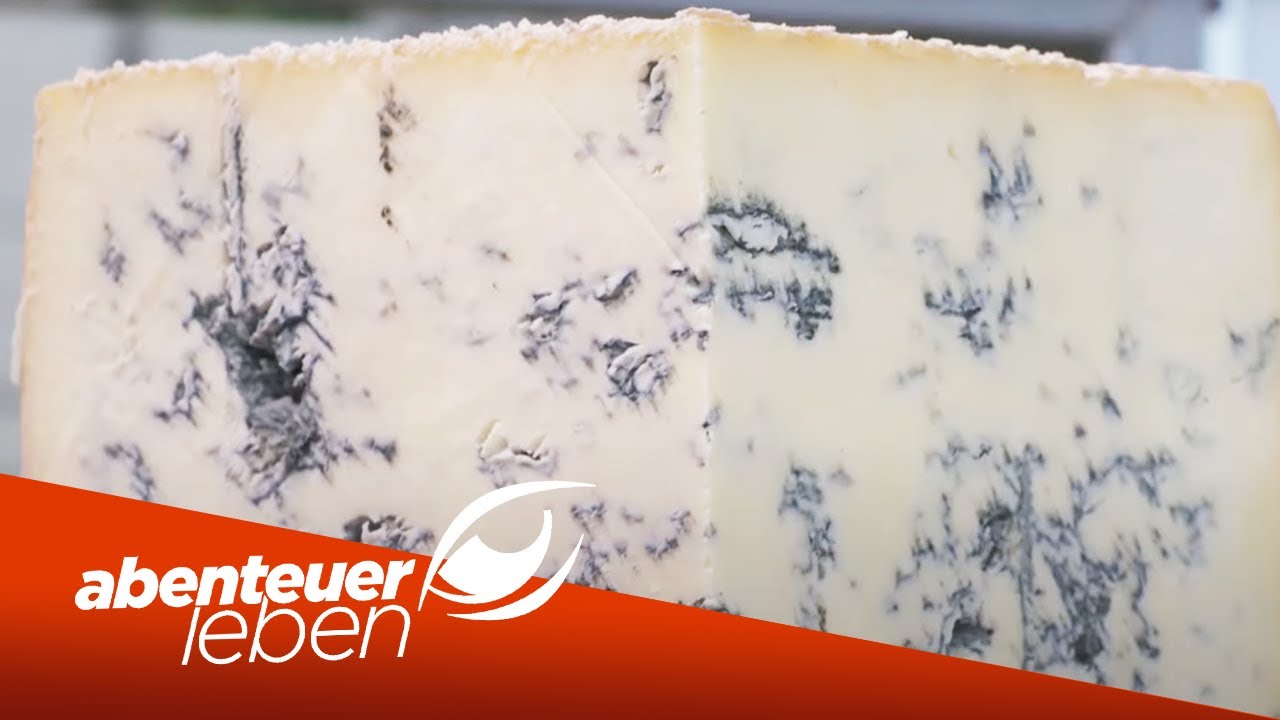 Das Geheimnis des italienischen Gorgonzola | Abenteuer Leben | Kabel Eins