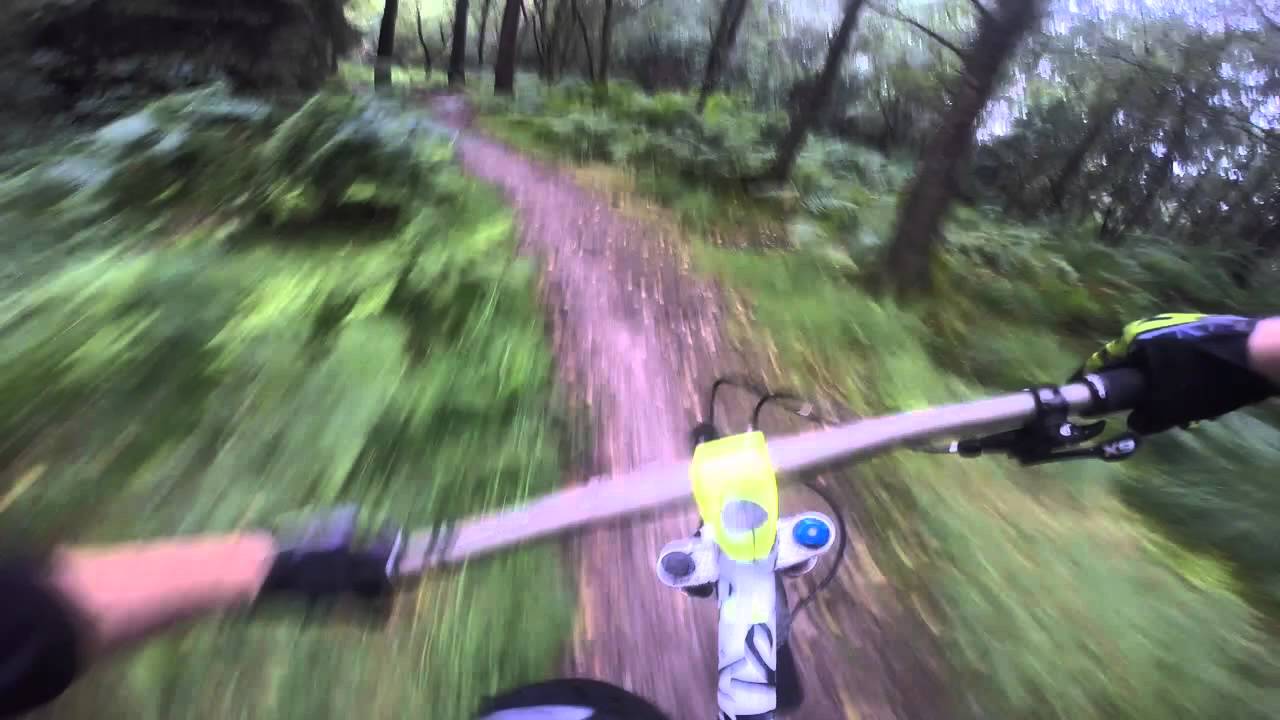Billinge Woods, Blackburn