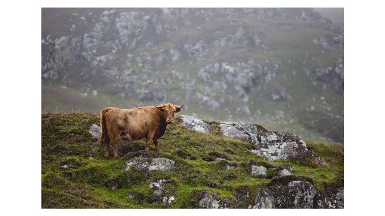 Photography in the Isle of Lewis