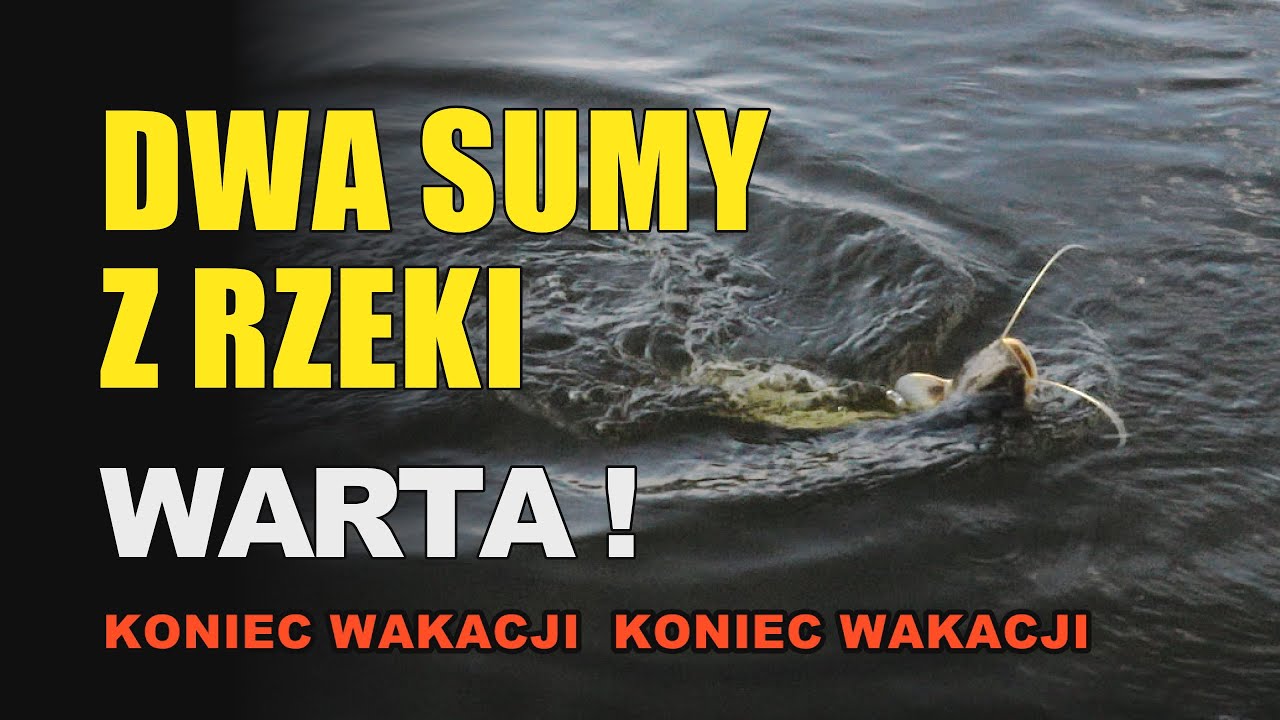 SUMY Z WARTY!! Pierwszy raz na nocce z dzieciakami! Lekcja wędkowania. Koniec wakacji! (r. 2022)