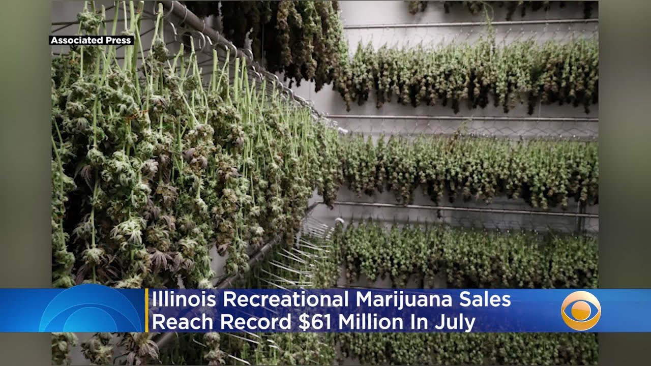 Illinois Recreational Marijuana Sales Reach Record $61 Million In July