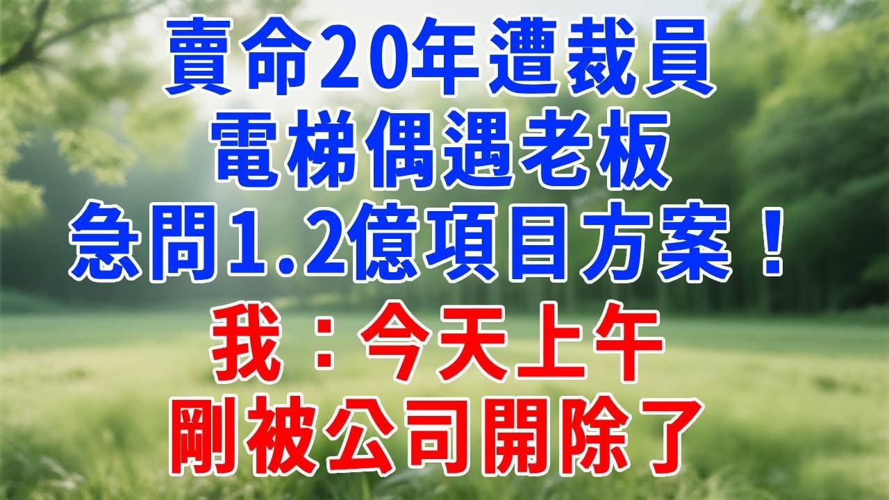 賣命20年遭裁員，電梯偶遇老板急問1.2 億項目方案！我：今天上午剛被公司開除了！#人生感悟 #故事分享 #正能量 #生活經驗 #职场 #打脸