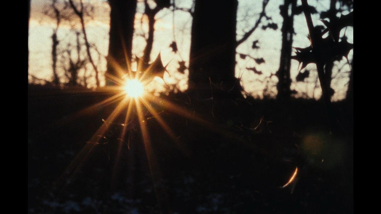 Plumes - 16mm Film Emulation