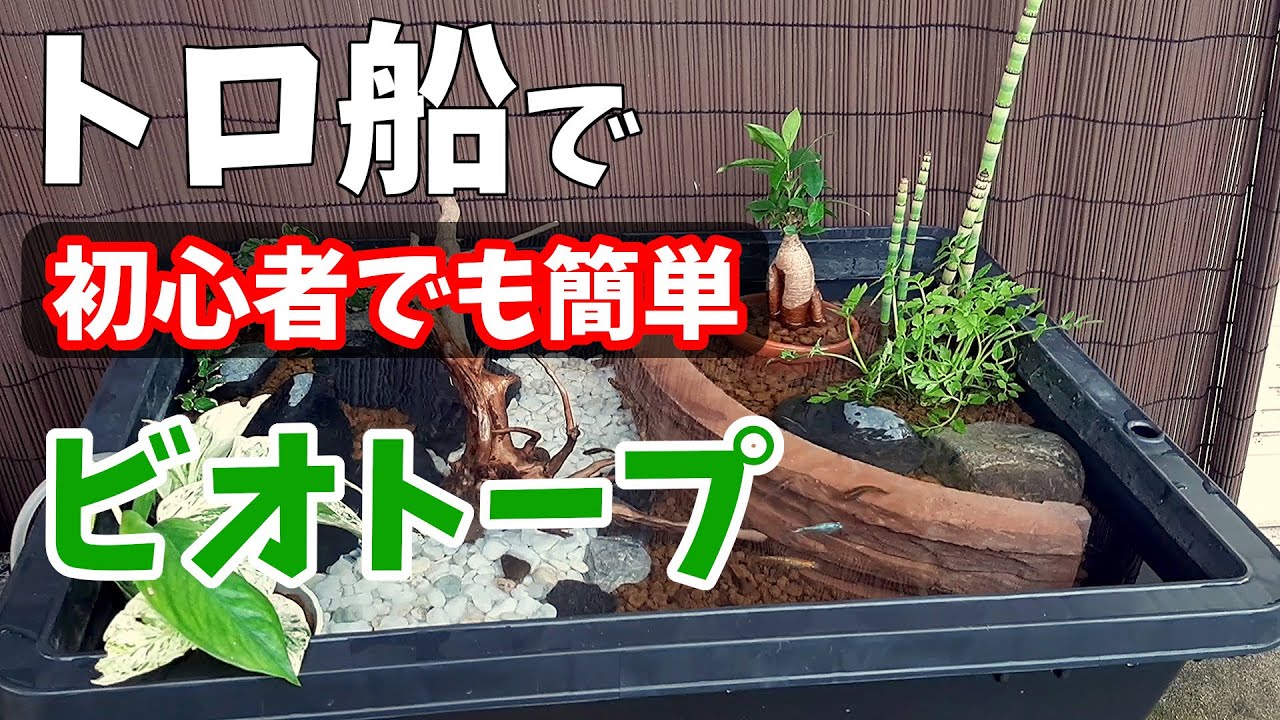 トロ船を使ってメダカのビオトープを作る! ビオトープ初心者でも出来る【ビオトープ】