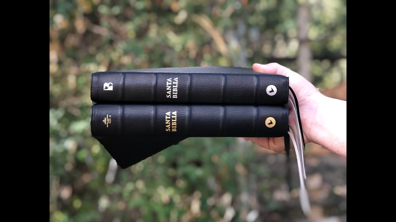 Nueva Biblia de las Américas Mi Legado Colección Premier  NBLA Editorial Vida.