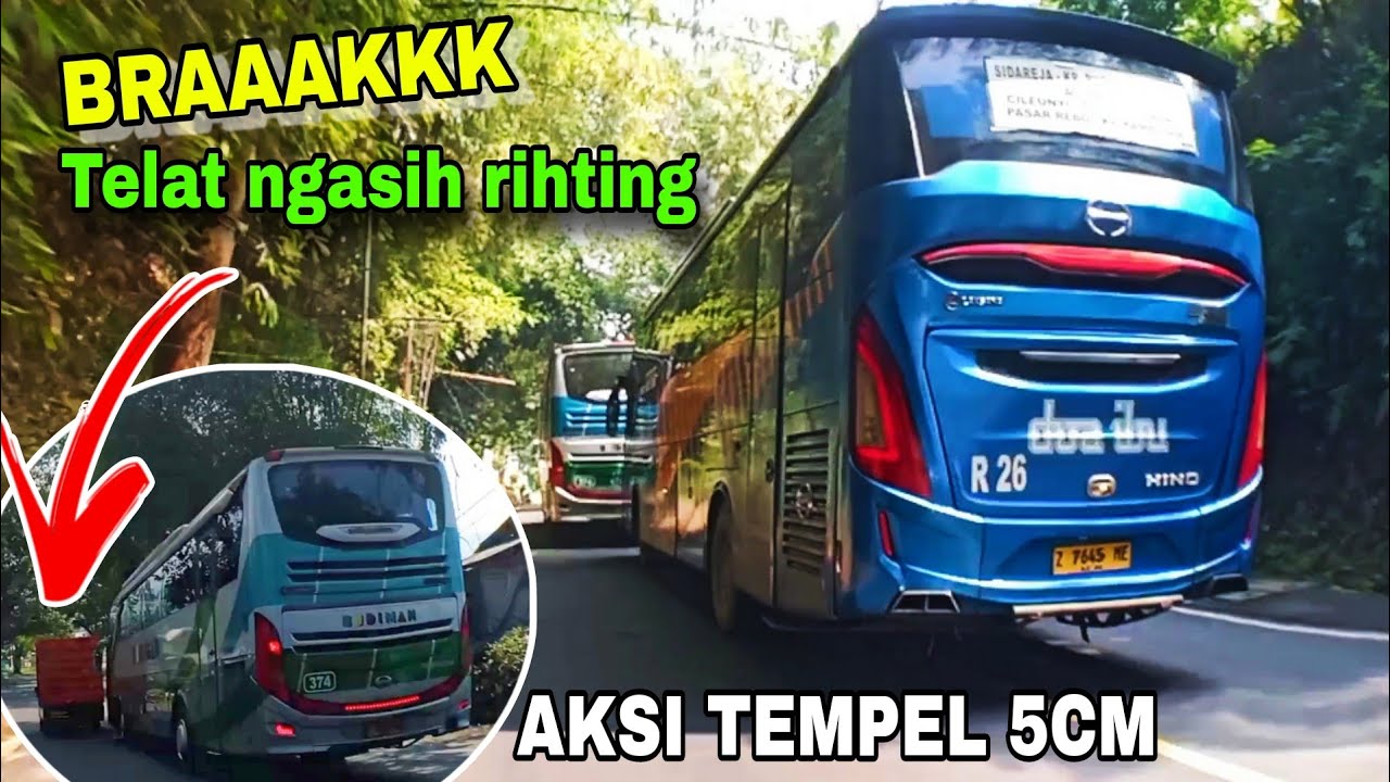 EMOSI GARA GARA REBUTAN JALUR !! Bus budiman dikejar do'a ibu dan best premium