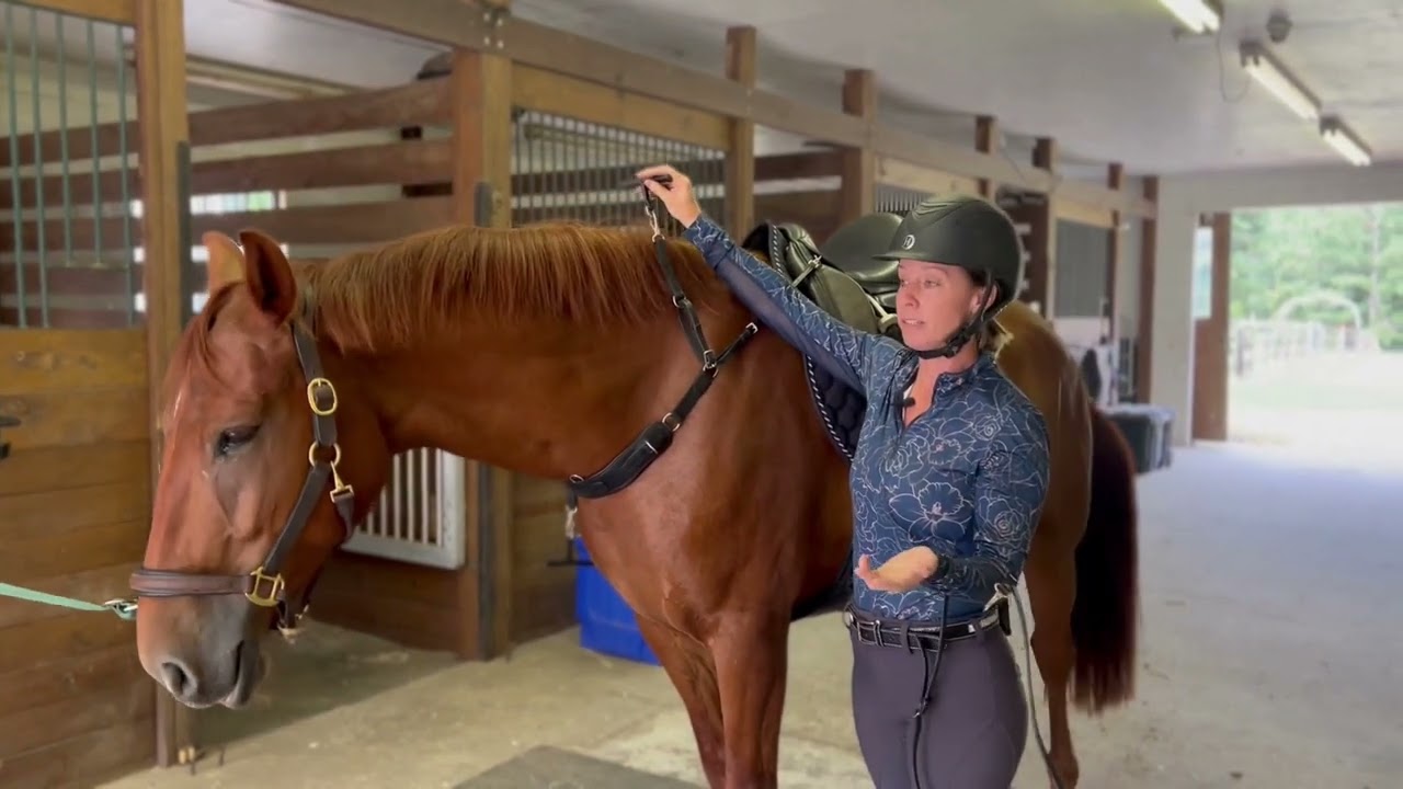 How to Fit and Ride in the 3 in 1 Training Breastplate by Correct Connect