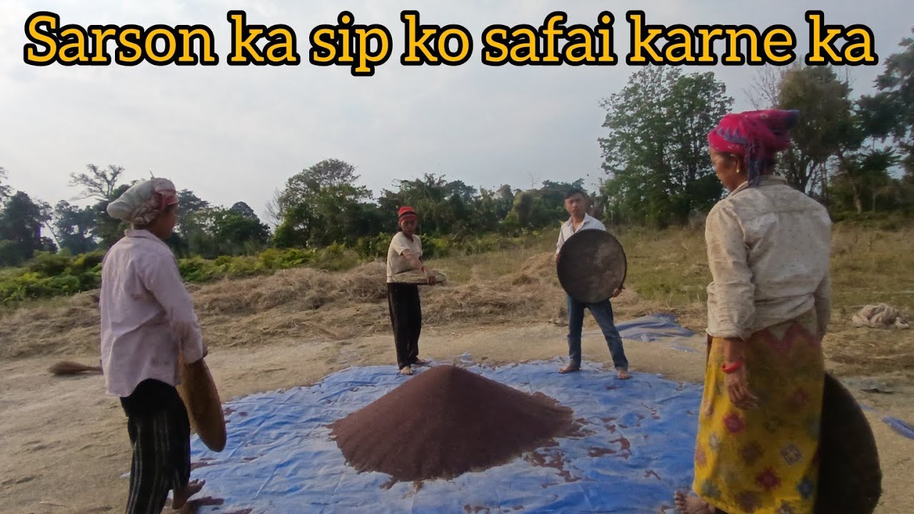 Sarson ka // sip safai karne ke liye yah hai // kheti kisan ka Zindagi 