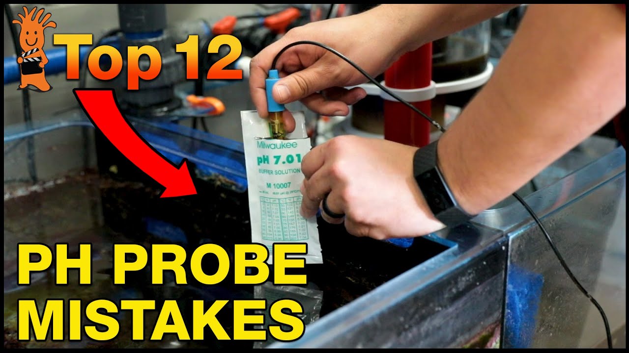Raise the pH Bar in Your Reef Tank & Avoid These pH Probe Issues by Using the Right pH Probe Tool.