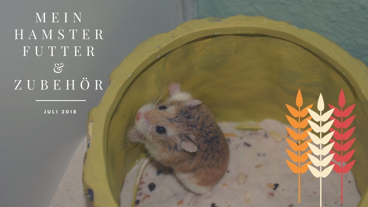 Mein Hamster Futter & Zubehör ♥ Juli 2018 | Nana