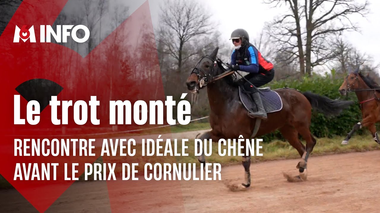 Prix de Cornulier 2025 : Xavier de Moulins à la rencontre d’Idéale du Chêne