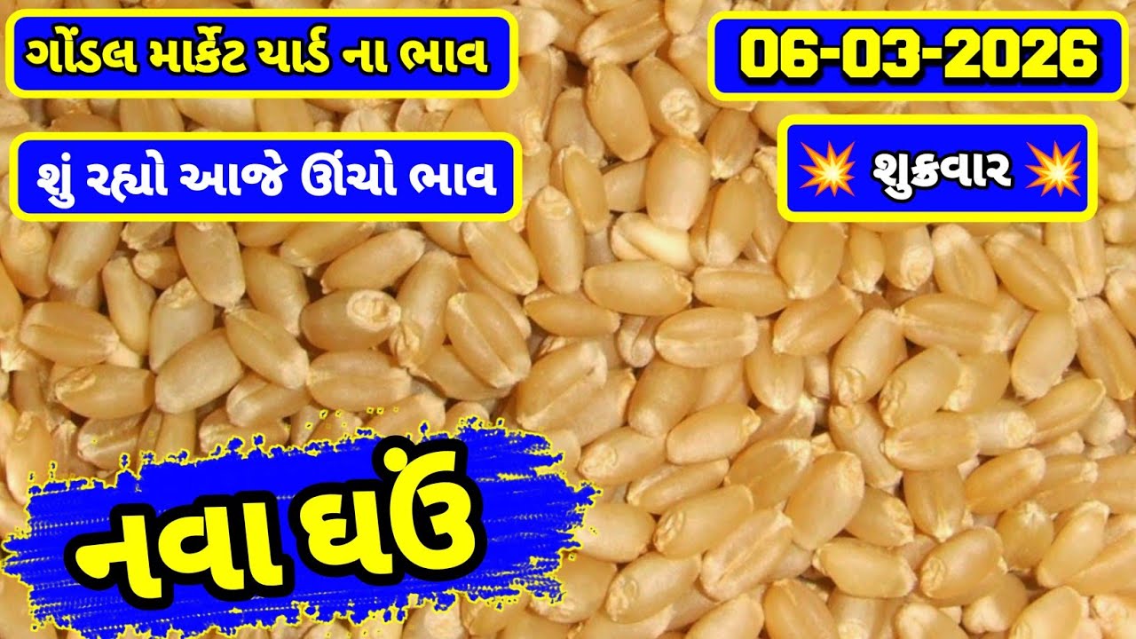 નવા ઘઉં ના ભાવ | 06-03-2026 | ગોંડલ નવા ઘઉંના ભાવ | Wheat Market Price | RJ Gondal Marketing Yard