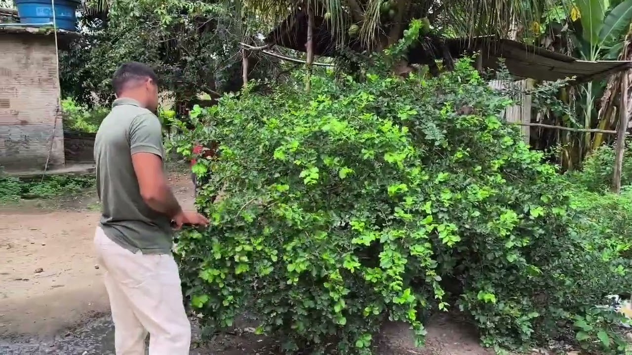 Homem que vendia suas frutas na feira, tem suas frutas roubadas....vejam 😮