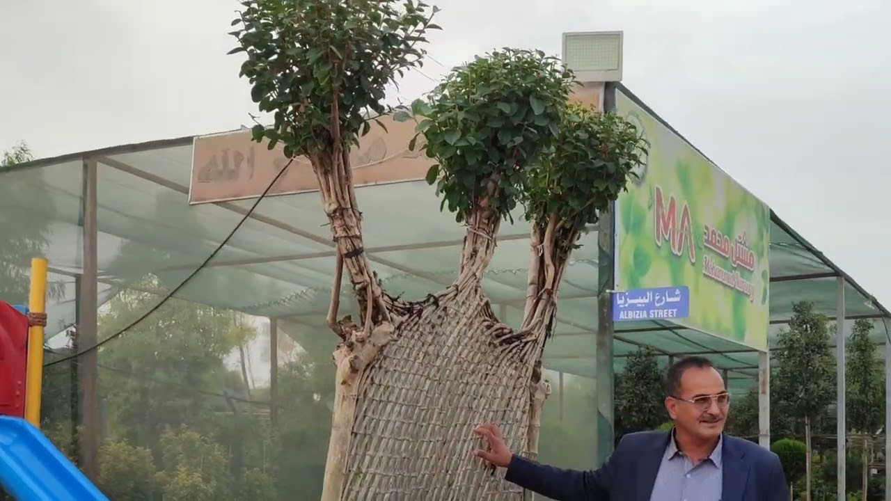 جولة زراعية في مشتل محمد كركوك المشتل الأكبر بالعراق والشرق الأوسط