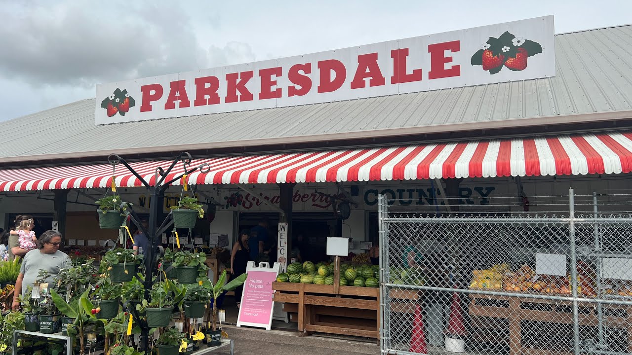 World Famous Strawberries | Visiting Parkesdale Farm Market in Plant City, Florida