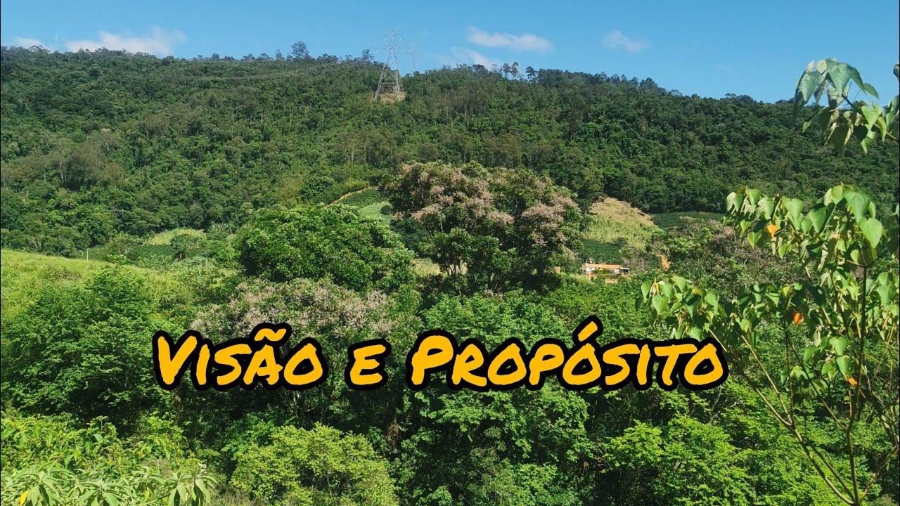 Vis&atilde;o e Prop&oacute;sito na vida - Como colocar em pr&aacute;tica 🌿