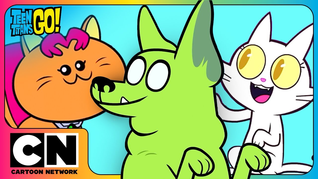 😱 OMG! The Teen Titans Turn Into Cats 🐱 and Dogs 🐶?? | Teen Titans Go! | Cartoon Network Asia