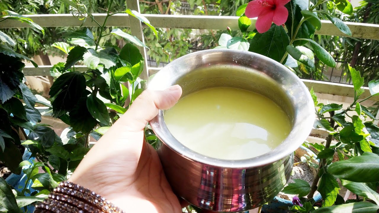 अनेक रोगो की एक दवा.....Free Homemade fertilizer #PaneerWater