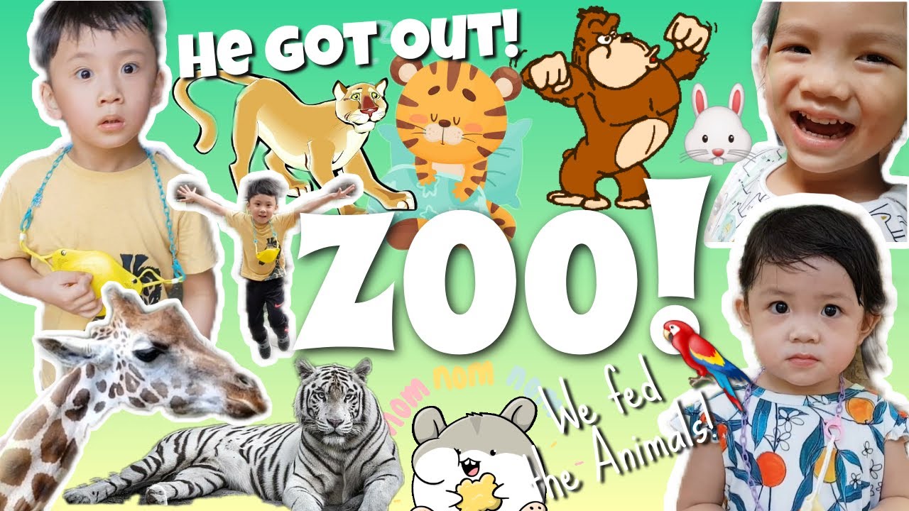 Fun Day at Avilon ZOO! We fed the Animals and saw Tigers, Crocodiles & a lot more! | Hugo Adi