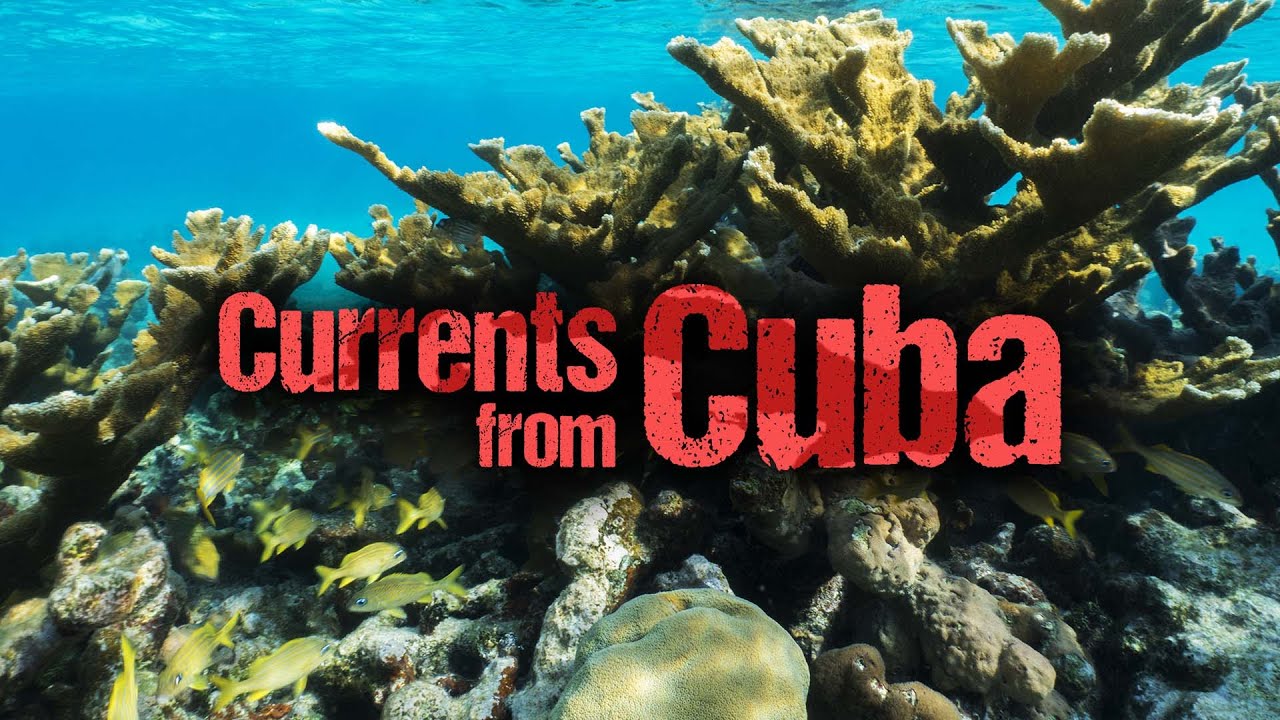 Currents from Cuba