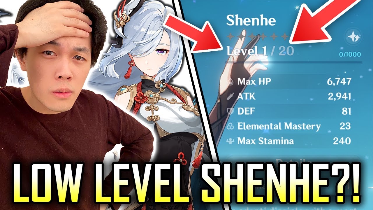 My low level Shenhe can still do this... WOW