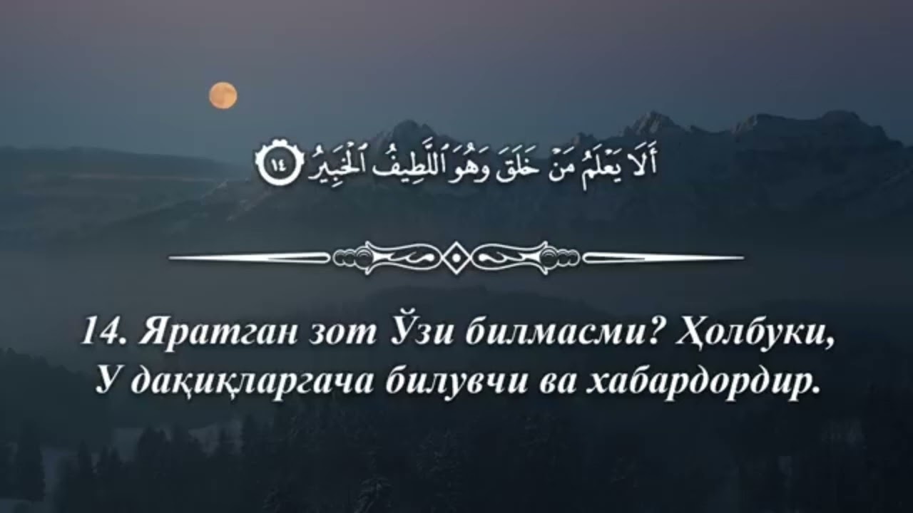 Алишер кори #quran #hafizquran #taravih #surahalmulk  Мулк сураси