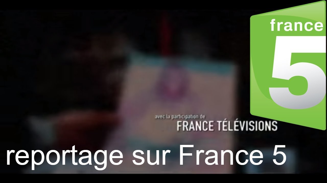 Investigation de France 5 et l'agence UkReine sur les arnaques dans le reportage 