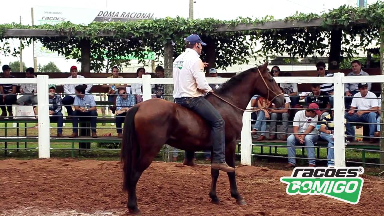 Doma Racional com Leonardo Feitosa  Rações COMIGO