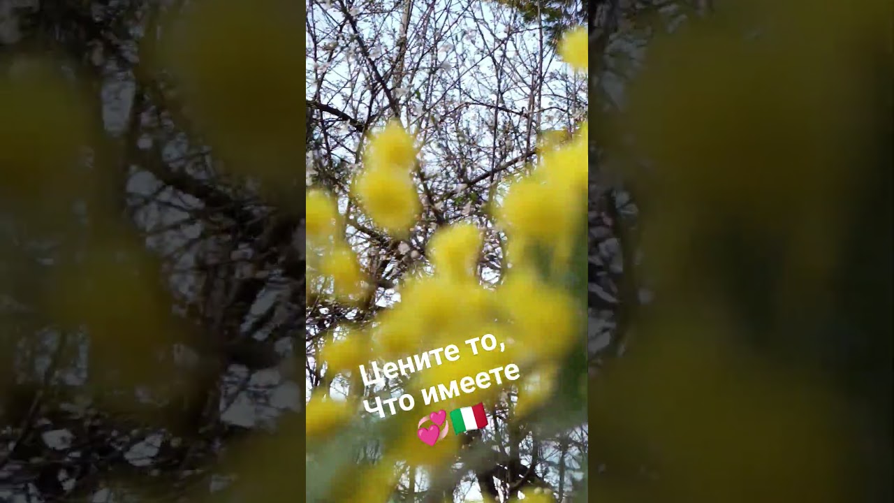 цените то, что имеете 💞🇮🇹