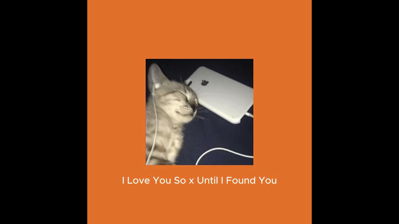 I Love You So x Until I Found You