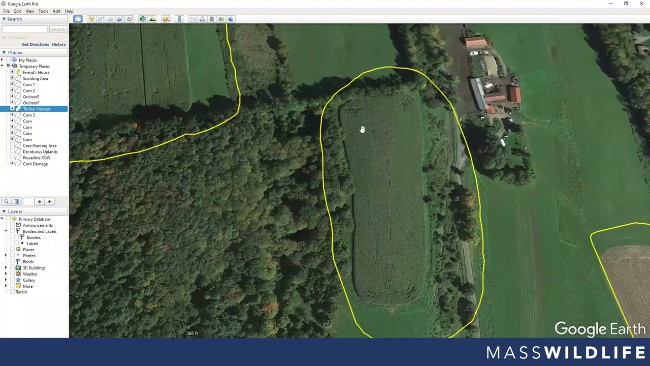 Online Scouting Tools for Black Bear